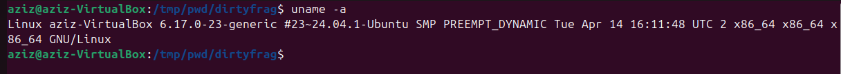 System info &mdash; Ubuntu 24.04.1, kernel 6.17.0-23-generic