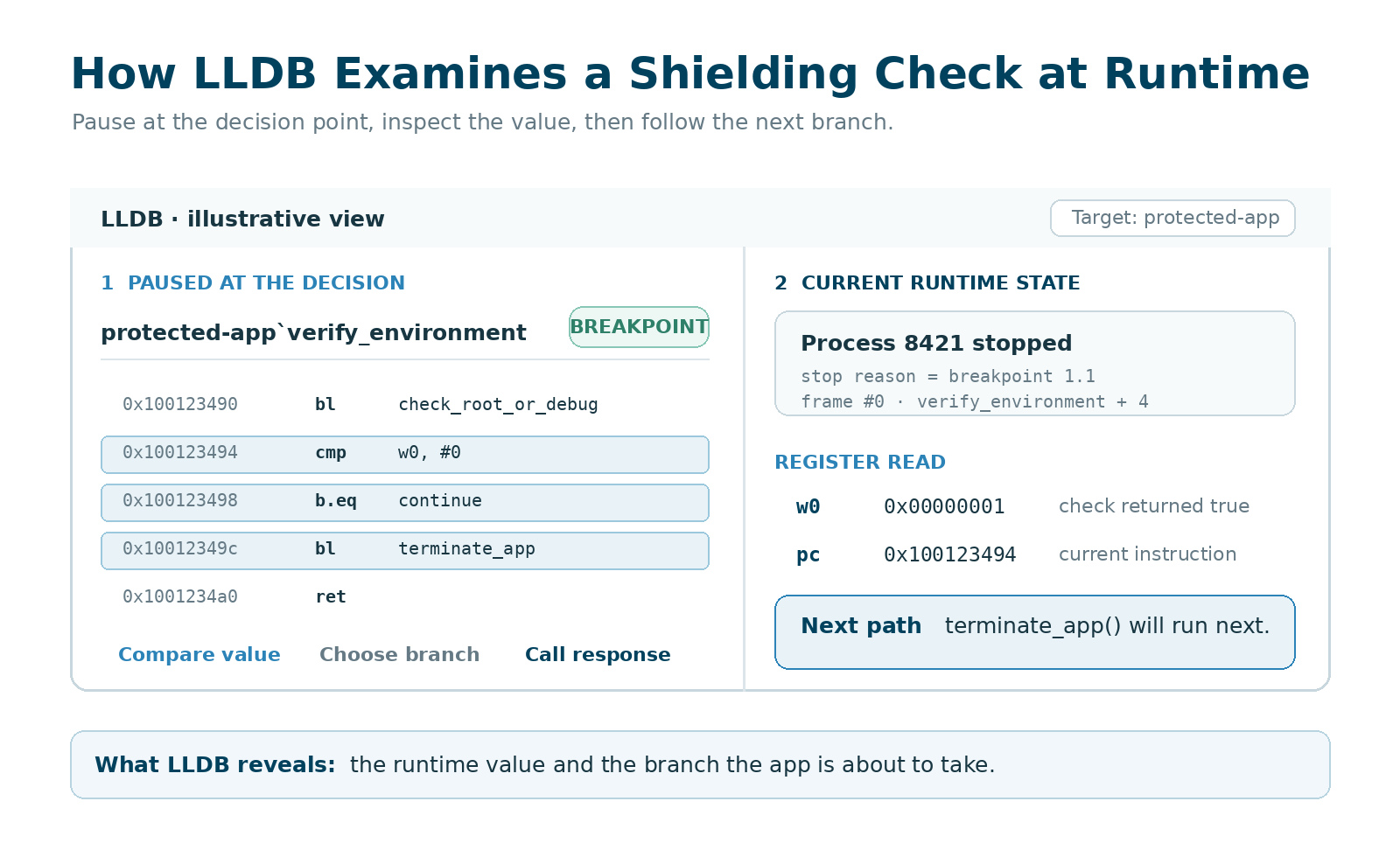 Illustrative view of LLDB examining a protection decision while the native code is executing. LLDB paused at a native protection check with the breakpoint and relevant return value visible.