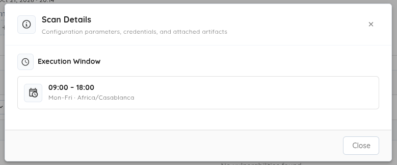 La section Execution Window dans les d&eacute;tails du scan