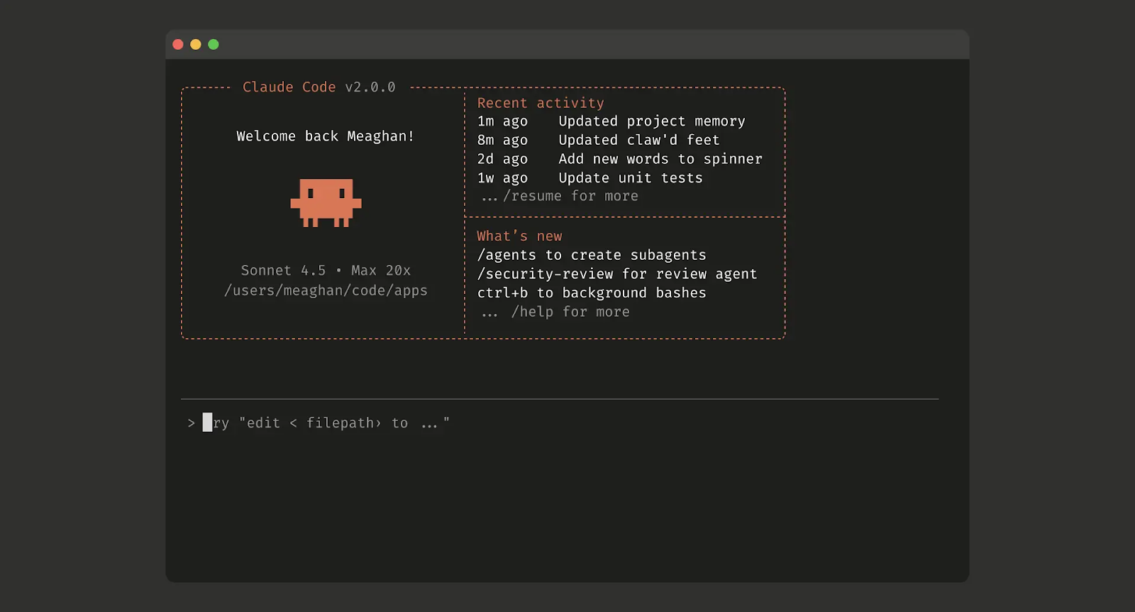 Claude Code terminal interface