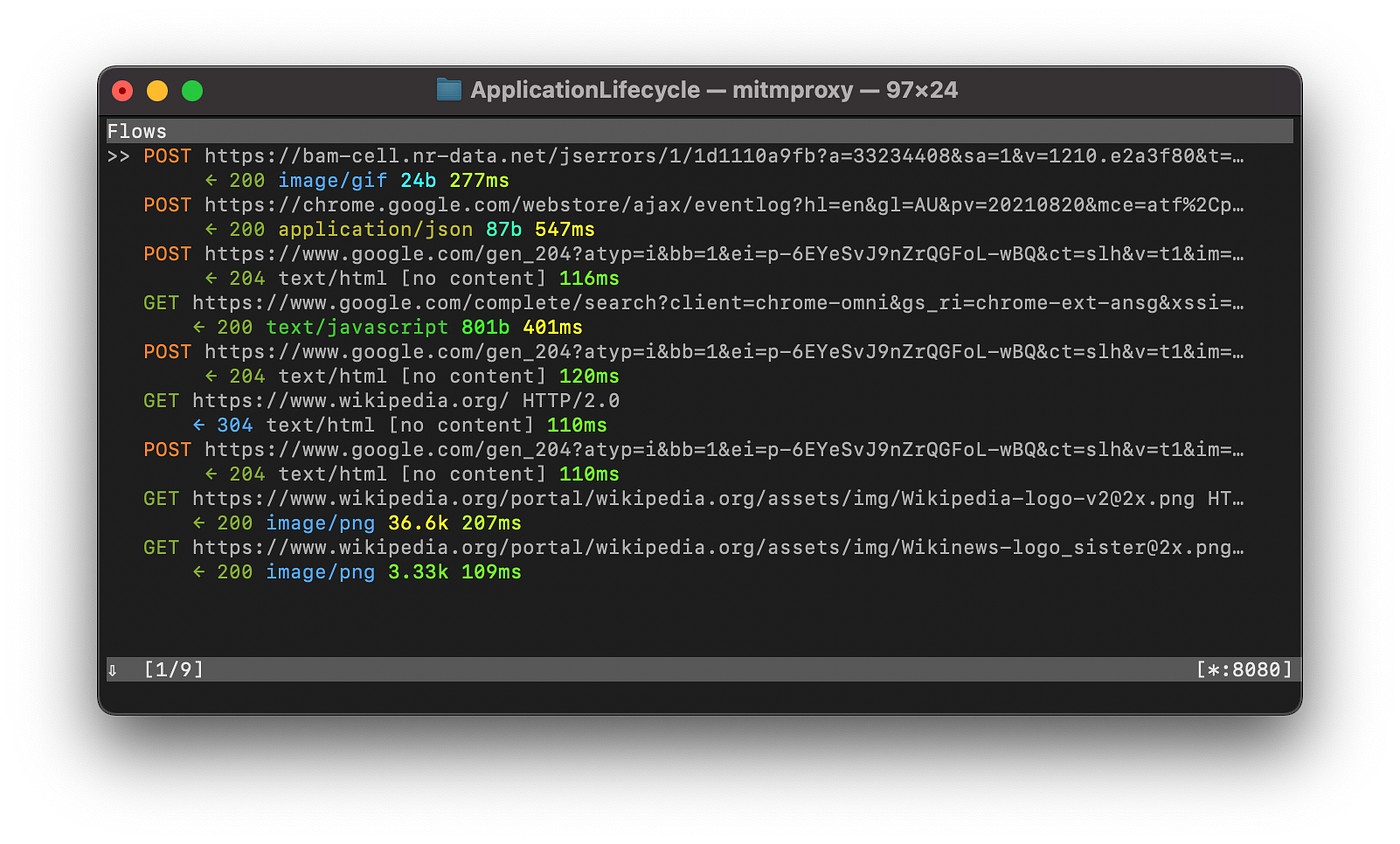 mitmproxy terminal interface