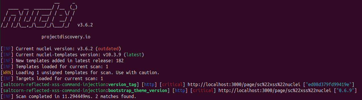 Nuclei tool scan results